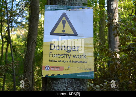 Giallo Nero e la spia verde segno attaccato ad albero circa le operazioni forestali abbattimento degli alberi nei boschi a grande doward herefordshire England Regno Unito Foto Stock