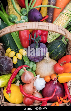 Trug vegetali visualizza a Malvern Autunno Mostra, Worcestershire, Regno Unito Foto Stock