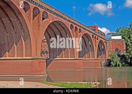 Albi; Pirenei, sw di Francia, Europa fiume le tarn, Pont Neuf ponte, Foto Stock