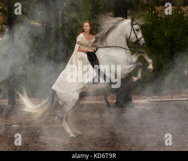 Una foto di una donna a cavallo di un allevamento andaluso stallone grigio. Foto Stock