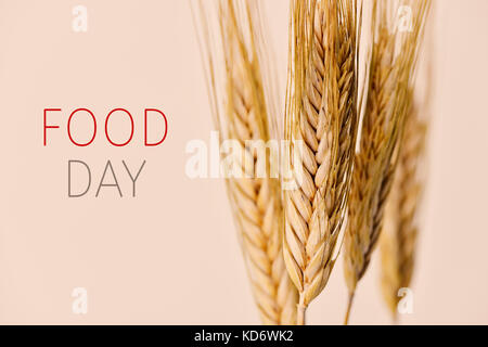 Primo piano di alcuni picchi di grano e il testo cibo giorno contro un sfondo bianco Foto Stock