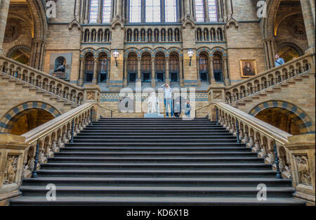 La scala nella sala principale che conduce fino a Charles Darwin statua sul pianerottolo, presso il Museo di Storia Naturale, Kensington, Londra, Inghilterra, Regno Unito. Foto Stock