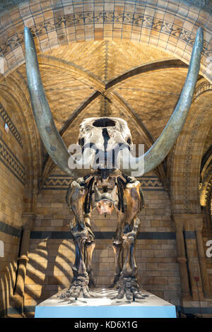 American mastodon (mammut americanum) scheletro sul display in HIntze Hall, al Museo di Storia Naturale, Kensington, Londra, Inghilterra, Regno Unito. Foto Stock