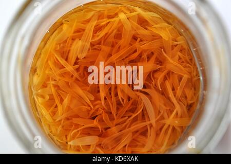 Essiccato Calendula (calendula officinalis) petali macerare in alcool - ingrediente cosmetico per prodotti di bellezza e trattamenti. Foto Stock