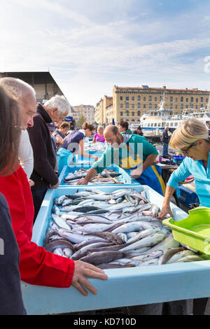 Mercato del pesce a Vieux parte (porto vecchio) a Marsiglia, Francia Foto Stock
