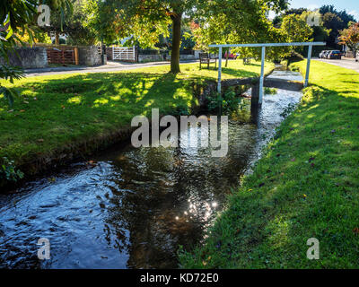 Passerella sul torrente che corre attraverso il vescovo Monkton Village North Yorkshire, Inghilterra Foto Stock