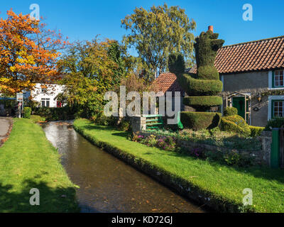 Cottage e pollo Topiaria da dal flusso nel Vescovo Monkton North Yorkshire, Inghilterra Foto Stock