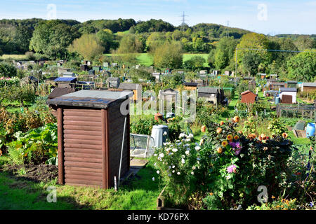 Inglese riparto giardini con tipico giardino capannoni e la coltivazione dei fiori e verdure, città mercato di Thornbury, South Gloucestershire Foto Stock