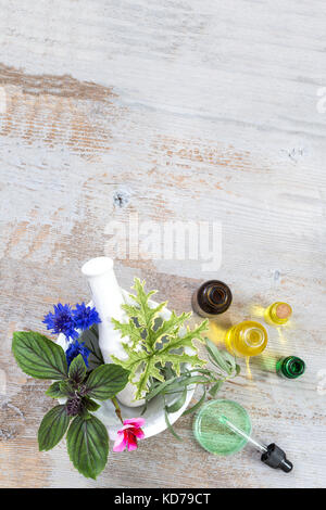 Mortaio di ceramica con erbe fresche e piante medicinali sul vecchio legno bianco tboard. preparazione di piante medicinali per phytotherapyand Salute Bellezza Foto Stock