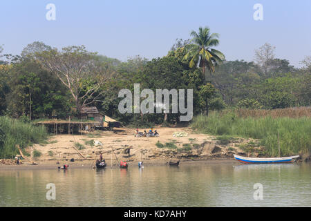 Gli abitanti di un villaggio di portare fasci di legno sulle rive del fiume Irrawaddy in miyanmar (Birmania). Foto Stock