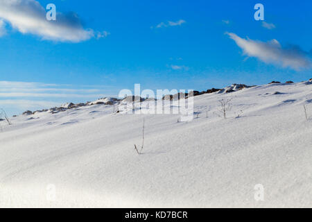 Neve in inverno Foto Stock