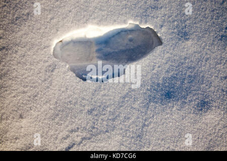 I solchi su una coperta di neve road Foto Stock