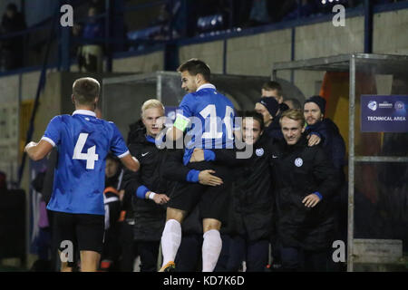 Lurgan, Irlanda del Nord, Regno Unito. 10 ottobre, 2017. 2019 UEFA Under 21 Qualificatore del campionato - Gruppo 2 - Irlanda del Nord 4 Estonia 2. Rauno Sappinen (10) celebra il suo obiettivo per l'Estonia. Credito: David Hunter/Alamy Live News Foto Stock