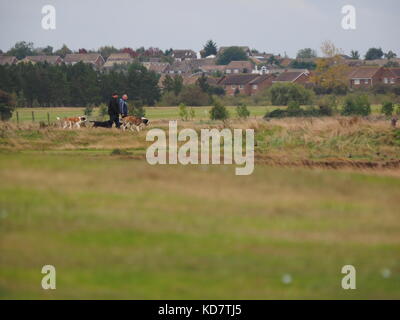 Sheerness, Kent, Regno Unito. Undicesimo oct, 2017. Regno Unito Meteo: un grigio e ventoso per iniziare la giornata in Sheerness. Credito: James Bell/Alamy Live News Foto Stock