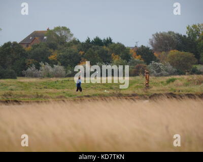 Sheerness, Kent, Regno Unito. Undicesimo oct, 2017. Regno Unito Meteo: un grigio e ventoso per iniziare la giornata in Sheerness. Credito: James Bell/Alamy Live News Foto Stock