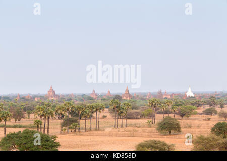 I templi della zona archeologica di Bagan, Bagan, Myanmar Foto Stock