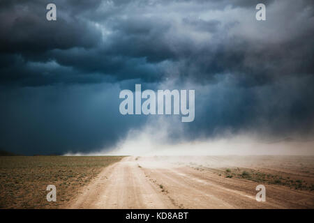 Dust Storm su una strada sterrata, Ulgii, Mongolia Foto Stock