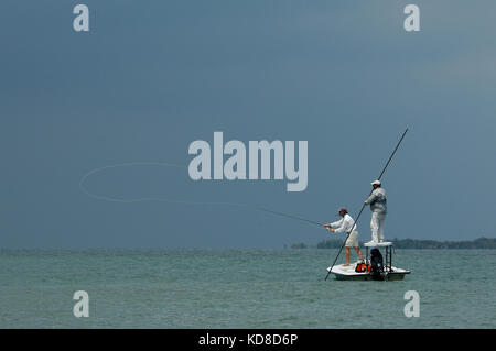 I pescatori pesca a mosca per tarpon bonefish e permettere in Florida Keys vicino a Key West e Maratona Foto Stock