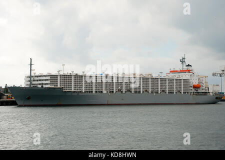 Vettore di bestiame spedizioni nave - Fremantle - Australia Foto Stock