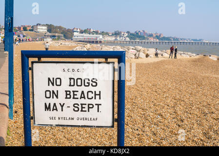 Nessun segno di cani, vista di un segno sulla spiaggia di Felixstowe che vieta i cani durante la stagione estiva, Suffolk, Inghilterra, Regno Unito Foto Stock