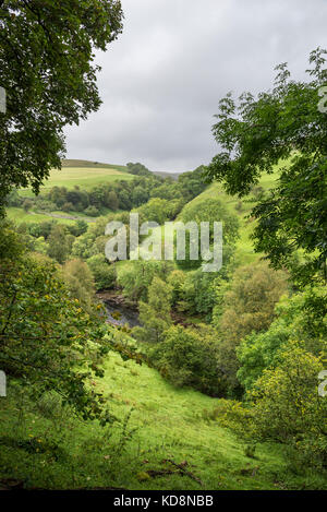 Il fiume swale in una lussureggiante valle verde nei pressi di keld, swaledale superiore, North Yorkshire, Inghilterra. Foto Stock