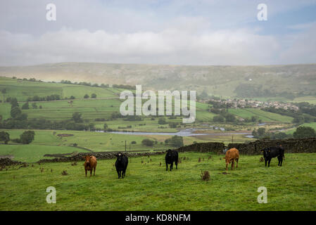 Piovoso giorno di settembre vicino a Reeth a Swaledale, Yorkshire Dales, Inghilterra. Foto Stock
