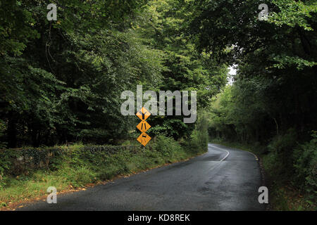 Irlandese triip su strada Foto Stock