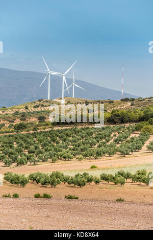 Le turbine eoliche su di un colle e gli ulivi Foto Stock