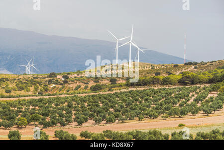 Le turbine eoliche su di un colle e gli ulivi Foto Stock