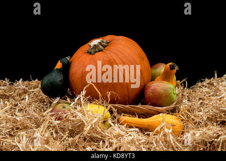 Zucca, zucche e mele in un cesto di vimini Foto Stock