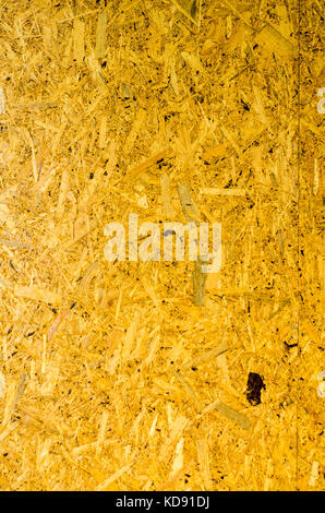 Texture di legno. Foto Stock