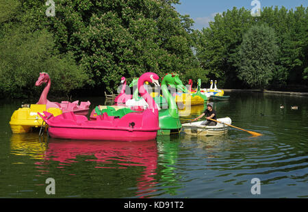 Peddle barche sul lago in barca Alexandra Park, legno verde, Haringey, Londra può Foto Stock