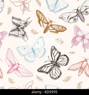 Tatuaggio o boho t-shirt o scrapbooking design. mistico simbolo esoterico di libertà e di viaggio. farfalla o schizzo di insetti. raccolta entomologica. incisi disegnati a mano nel vecchio disegno e stile vintage Illustrazione Vettoriale