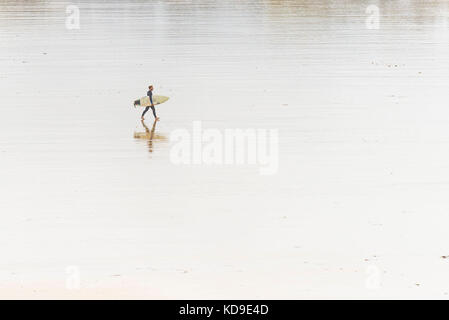 Attività di surf - un solista che porta la sua tavola da surf e cammina verso il mare a Fistral Beach a Newquay, Cornovaglia. Foto Stock