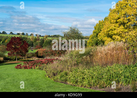 RHS Hyde Hall Colore di autunno, confini stagionali, aiuole. Foto Stock