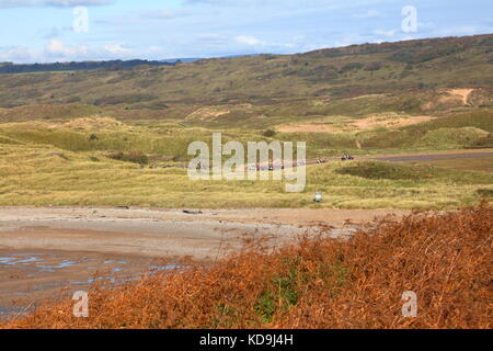 Un gruppo di cavalli uno di seguito all'altro su un trek attraverso e lungo le dune di sabbia di Merthyr Mawr vicino a Bridgend con un finale di galoppo lungo la spiaggia. Foto Stock