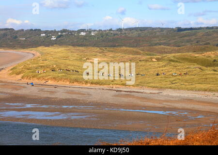 Un gruppo di cavalli uno di seguito all'altro su un trek attraverso e lungo le dune di sabbia di Merthyr Mawr vicino a Bridgend con un finale di galoppo lungo la spiaggia. Foto Stock