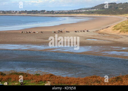 Un gruppo di cavalli uno di seguito all'altro su un trek attraverso e lungo le dune di sabbia di Merthyr Mawr vicino a Bridgend con un finale di galoppo lungo la spiaggia. Foto Stock