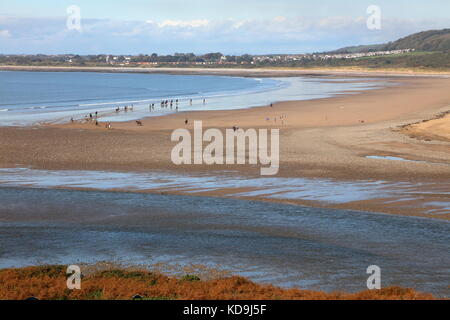 Un gruppo di cavalli uno di seguito all'altro su un trek attraverso e lungo le dune di sabbia di Merthyr Mawr vicino a Bridgend con un finale di galoppo lungo la spiaggia. Foto Stock