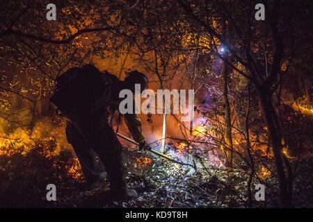 10 ottobre 2017 - Solano County/Napa County, CA, USA - un membro dell'equipaggio del servizio forestale degli Stati Uniti sulla El Dorado Hotshots tagliò la linea di fuoco mentre si impegnava nella difesa della struttura fuori Woodley Canyon Rd al fuoco dell'Atlante verso la fine di martedì notte.il fuoco dell'Atlante brucia nelle contee di Napa e Solano lunedì sera 10 ottobre 2017. Il fuoco era contenuto al 3% e aveva bruciato 25,000 acri. Le strutture multiple sono state distrutte mentre gli equipaggi hanno combattuto i venti forti e la vegetazione asciutta di toder dopo gli incendi multipli bruciati nella zona. Credit: Stuart Palley/ZUMA Wire/Alamy Live News Foto Stock