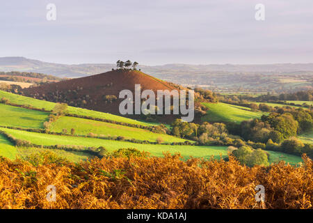 Eype, Dorset, Regno Unito. Xii oct, 2017. uk meteo. Il bracken che ha attivato il marrone rende colmers hill guardare molto in autunno durante la mattina di sole, come si vede dal eype giù vicino a Bridport nel Dorset. picture credit: Graham hunt/alamy live news Foto Stock