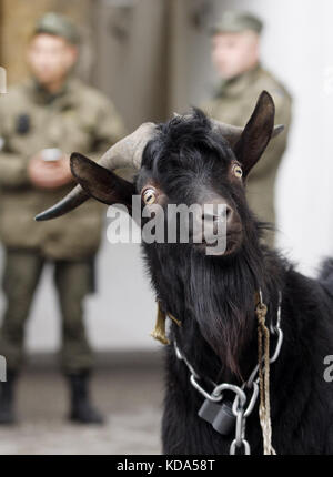 Kiev, Ucraina. 12 ottobre 2017. I militari della Guardia Nazionale stanno vicino a una capra legata dal partito ucraino di estrema destra del Corpus Nazionale ucraino fuori dall'ambasciata ceca durante una protesta a Kiev, Ucraina, il 12 ottobre 2017.il presidente Milos Zeman, che ha parlato a Strasburgo, Francia, il 10 ottobre, ha ribadito la sua posizione contro le sanzioni dell'Unione europea contro la Russia a causa della crisi Ucraina. Crediti: ZUMA Press, Inc./Alamy Live News Foto Stock