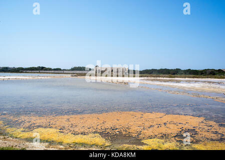 Vista panoramica di un italiano antico edificio rurale a spiaggia di le saline contro il cielo blu chiaro Foto Stock