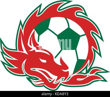 In stile retrò illustrazione di un drago gallese coling intorno a un pallone da calcio su sfondo isolato. Illustrazione Vettoriale
