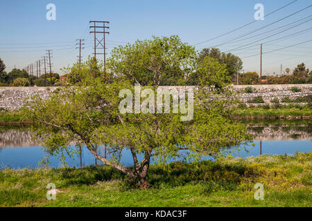 Los Angeles river vicino a Willow street, Long Beach, California, Stati Uniti d'America Foto Stock