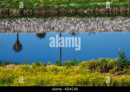 Los Angeles river vicino a Willow street, Long Beach, California, Stati Uniti d'America Foto Stock