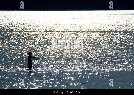 Silhouette di pescatori nel cofano Canal, Twanoh parco dello stato di Washington Foto Stock