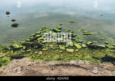 Mar baltico con pietre ricoperto da alghe. da sopra vista immagine dai toni Foto Stock