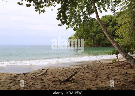 Playa Punta Uva, Puerto Viejo de Talamanca, Limón provincia, il Mare dei Caraibi, Costa Rica, America Centrale Foto Stock