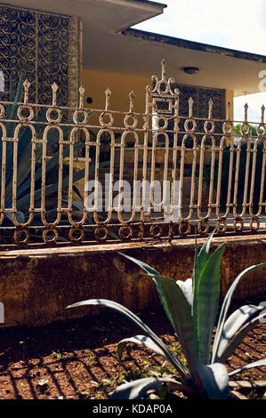 Casa vecchia facciata sul Paseo de Montejo avenue in Merida, Messico Foto Stock